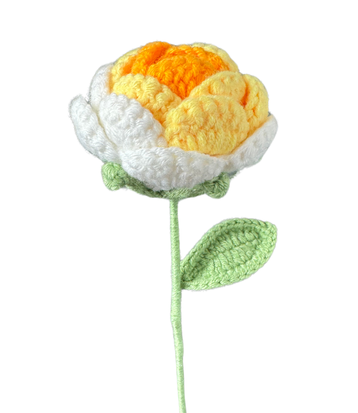 Rosen