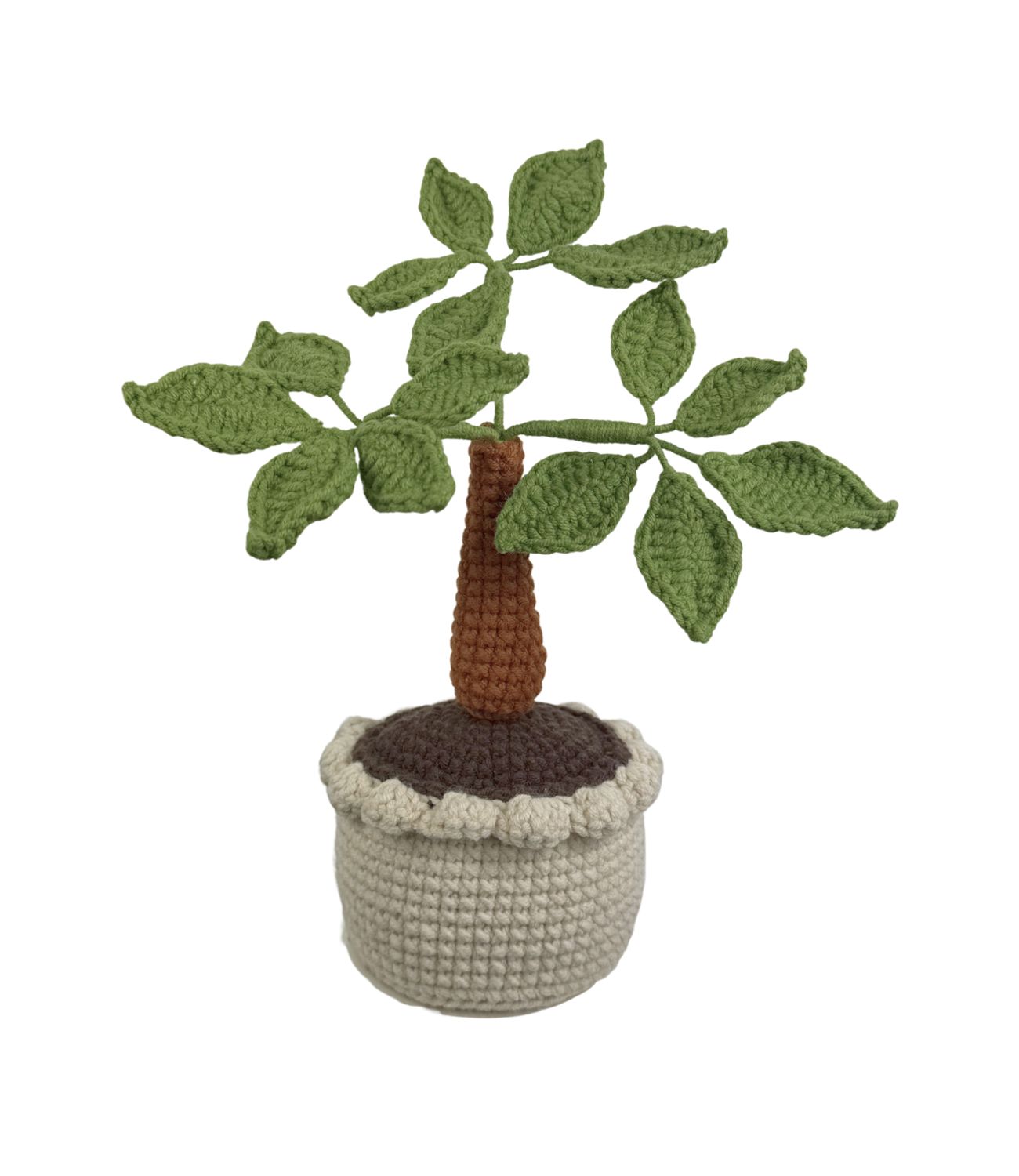 Bonsai