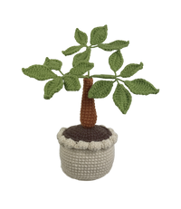 Bonsai