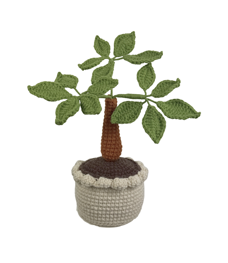 Bonsai