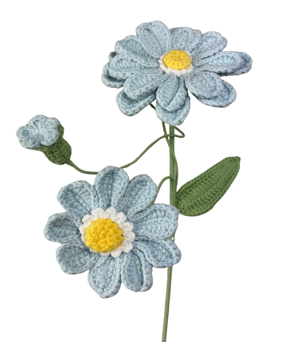 Chrysanthemen