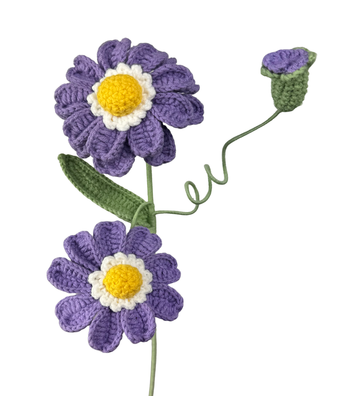 Chrysanthemen