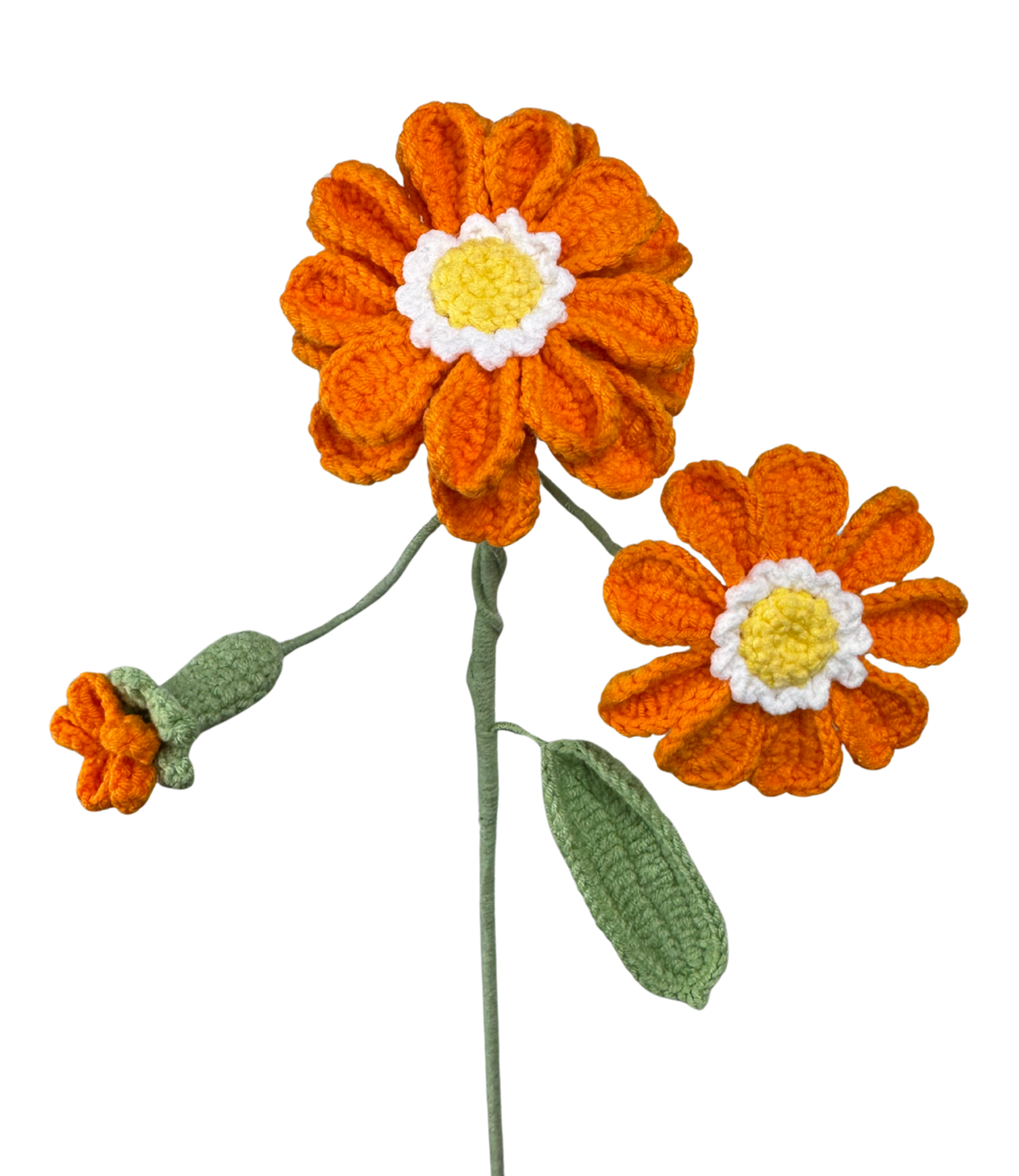 Chrysanthemen
