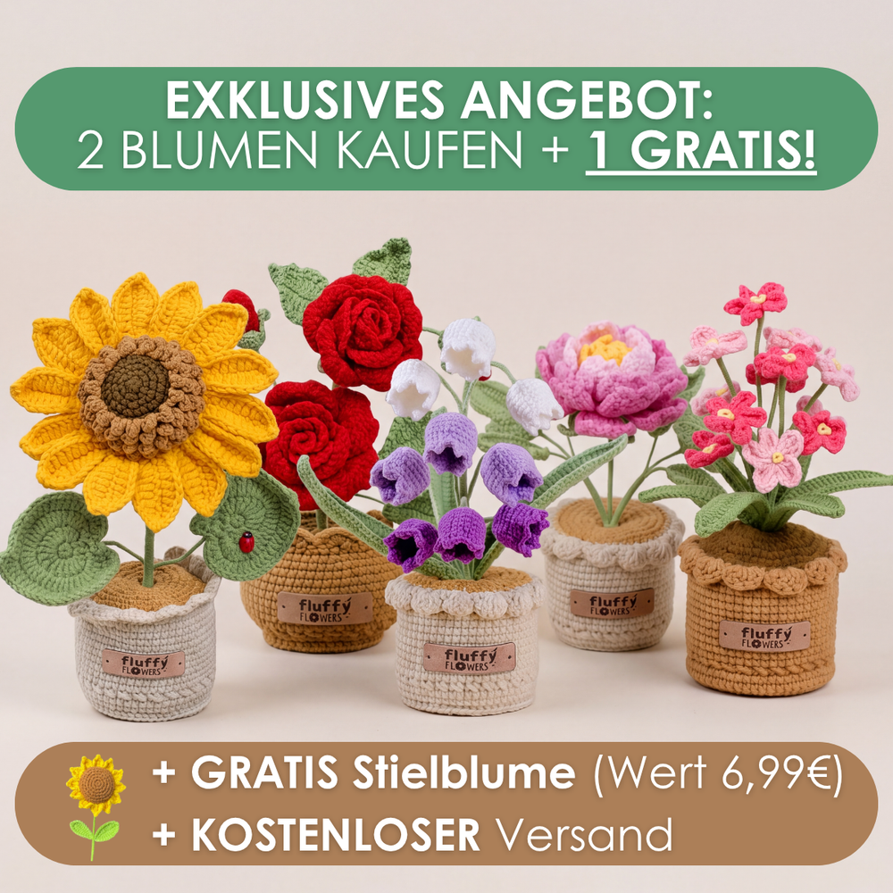 2 + 1 ANGEBOT