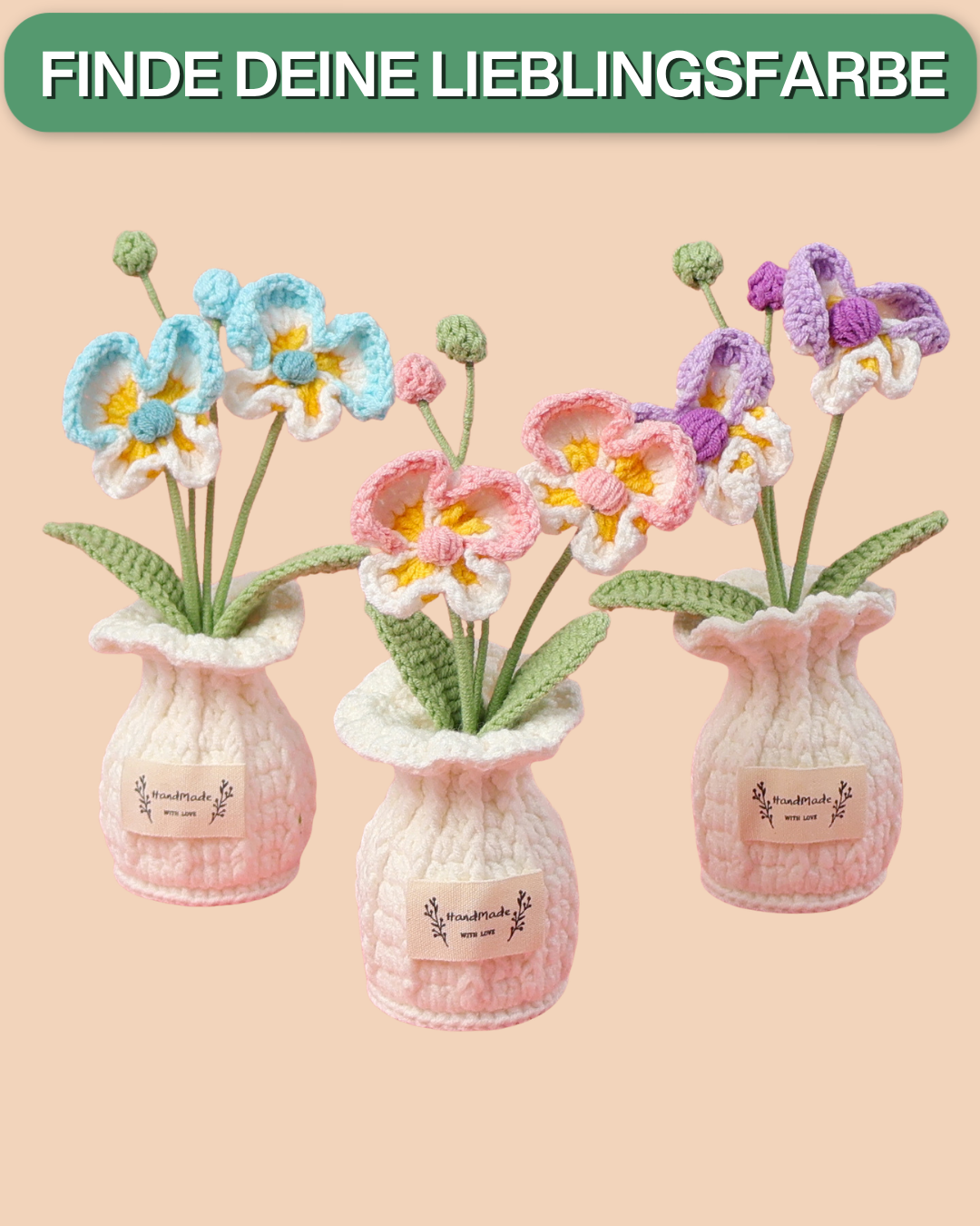 Orchidee Töpfchen