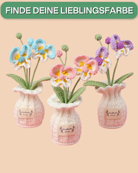 Orchidee Töpfchen