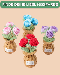 Rosen Töpfchen