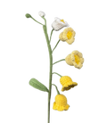 Maiglöckchen