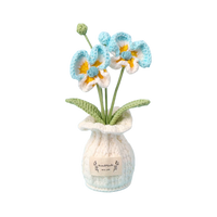 Orchidee Töpfchen