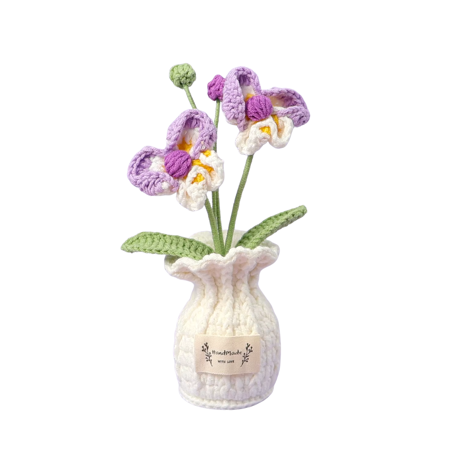 Orchidee Töpfchen