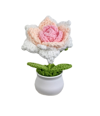 Mini Rosentöpfe