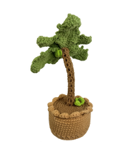 Palme