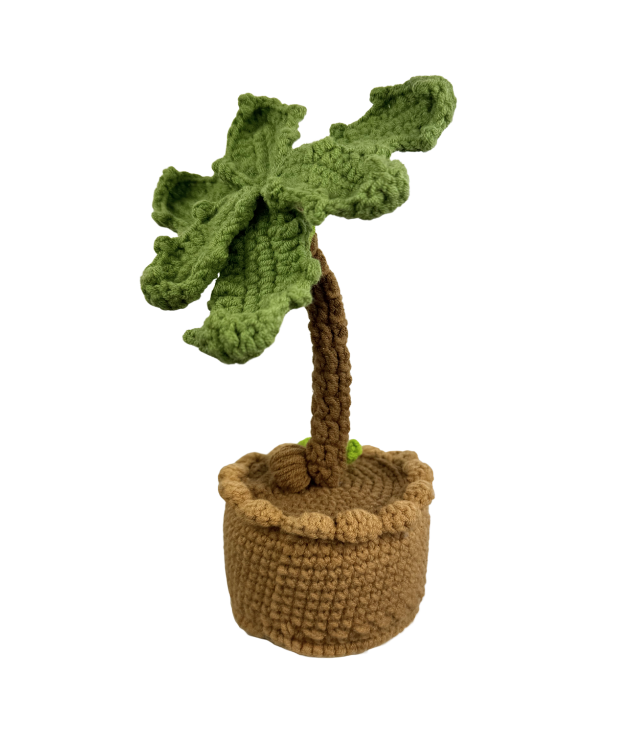 Palme