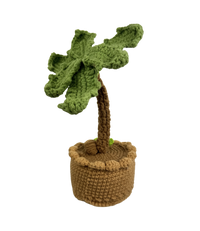 Palme