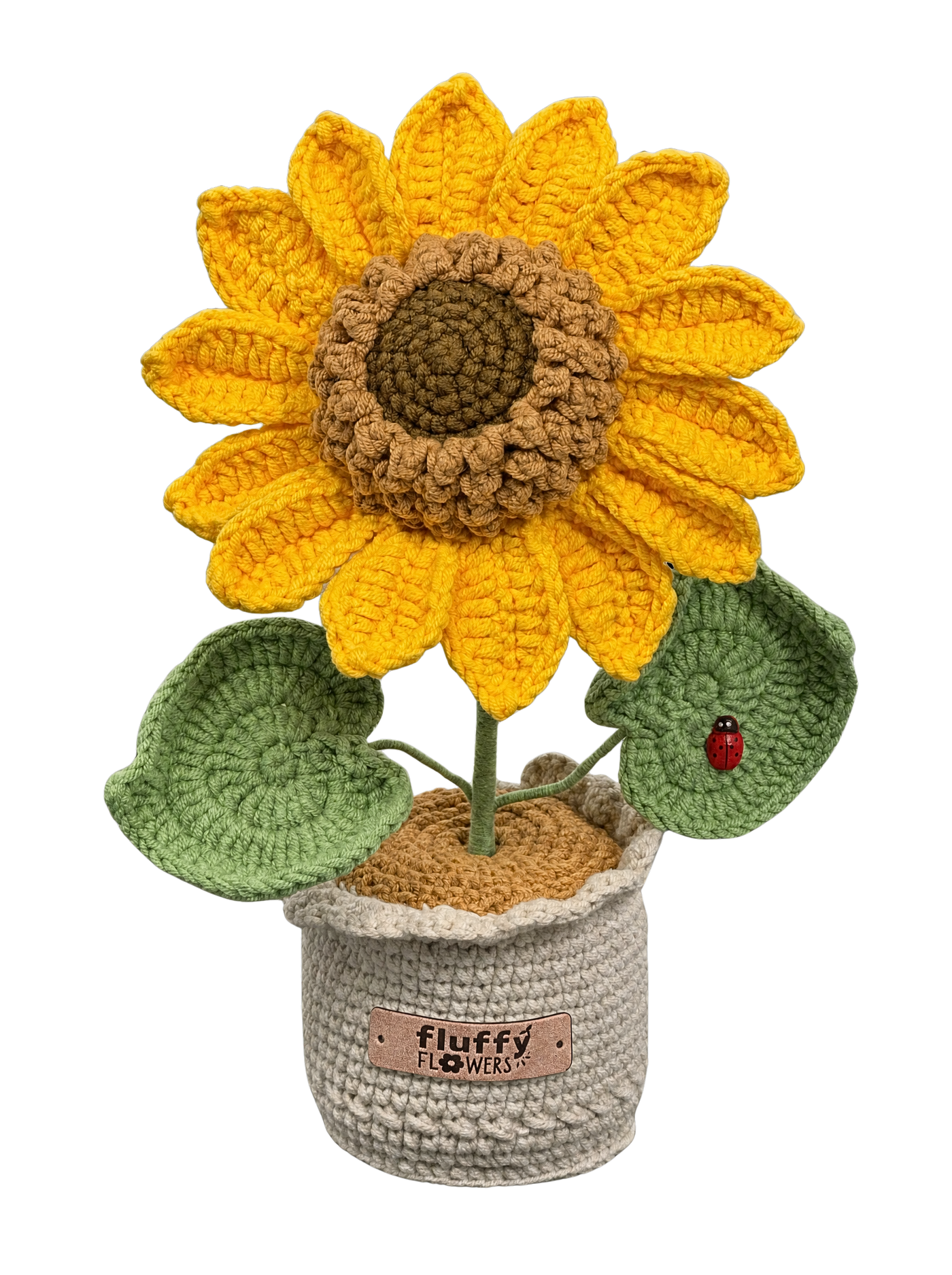 Sonnenblume