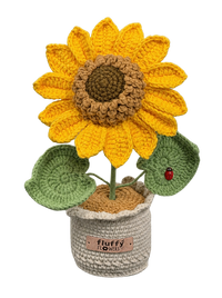 Sonnenblume