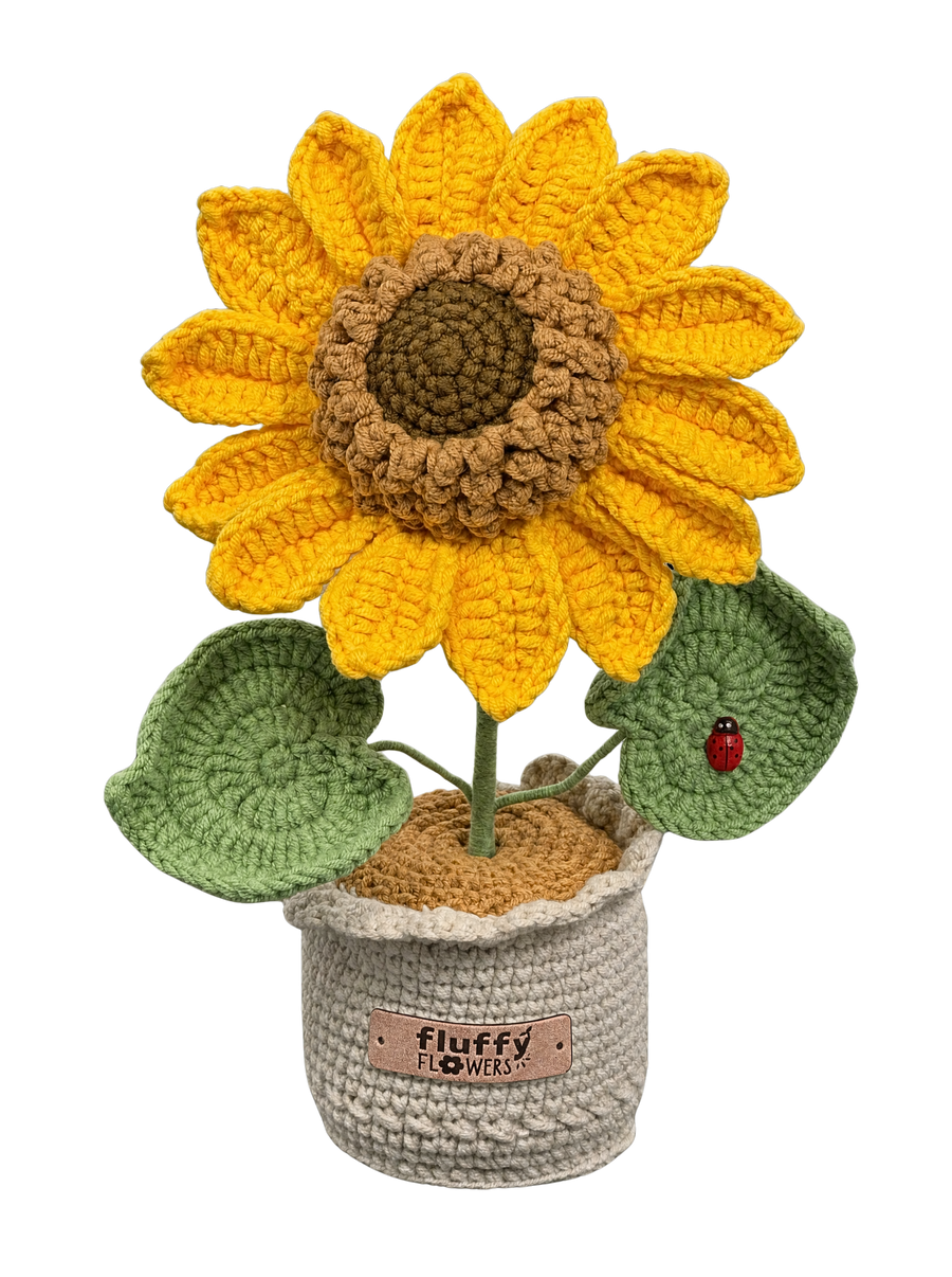 Sonnenblume