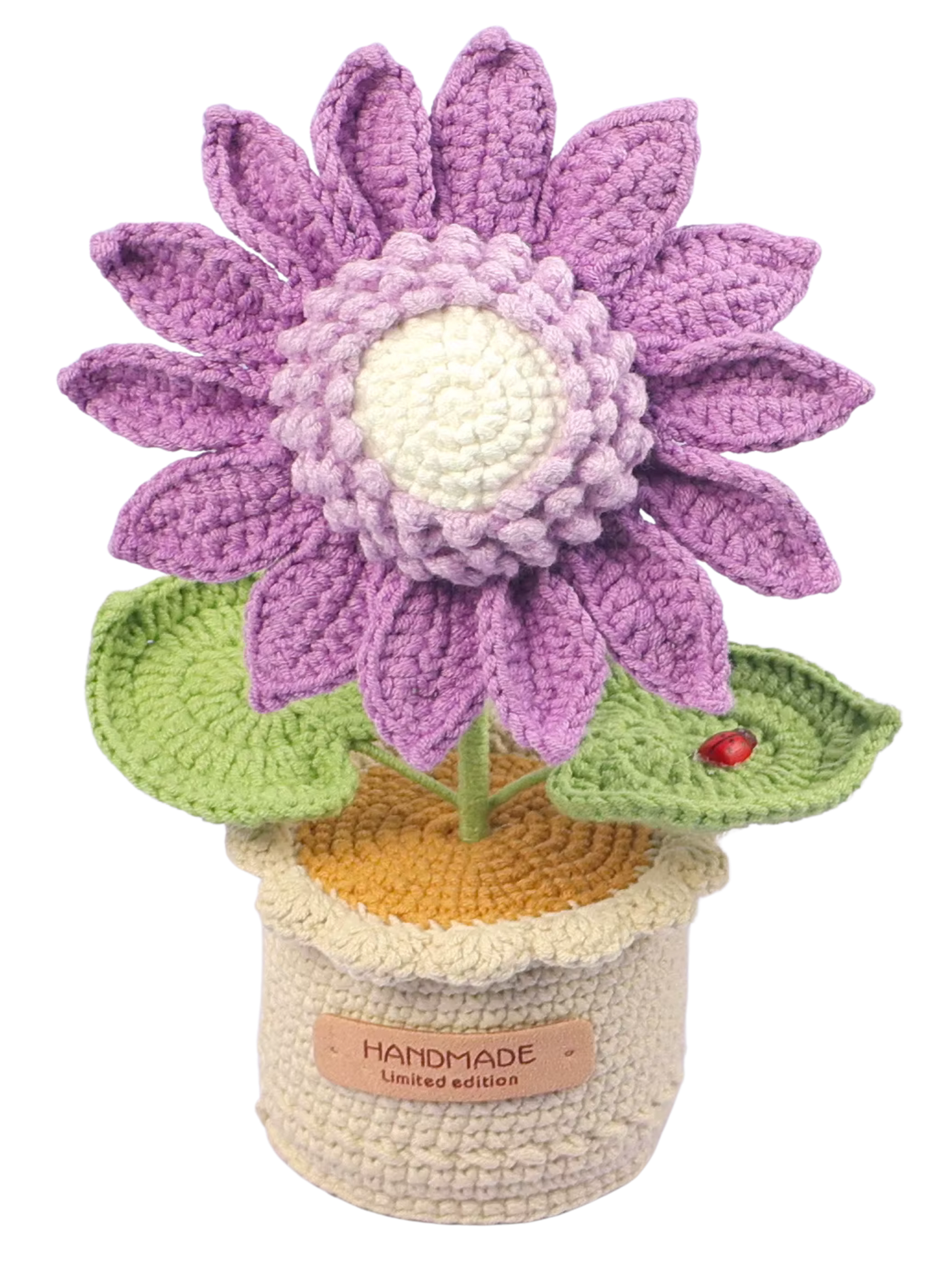 Sonnenblume