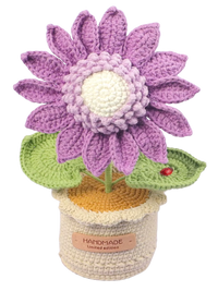 Sonnenblume