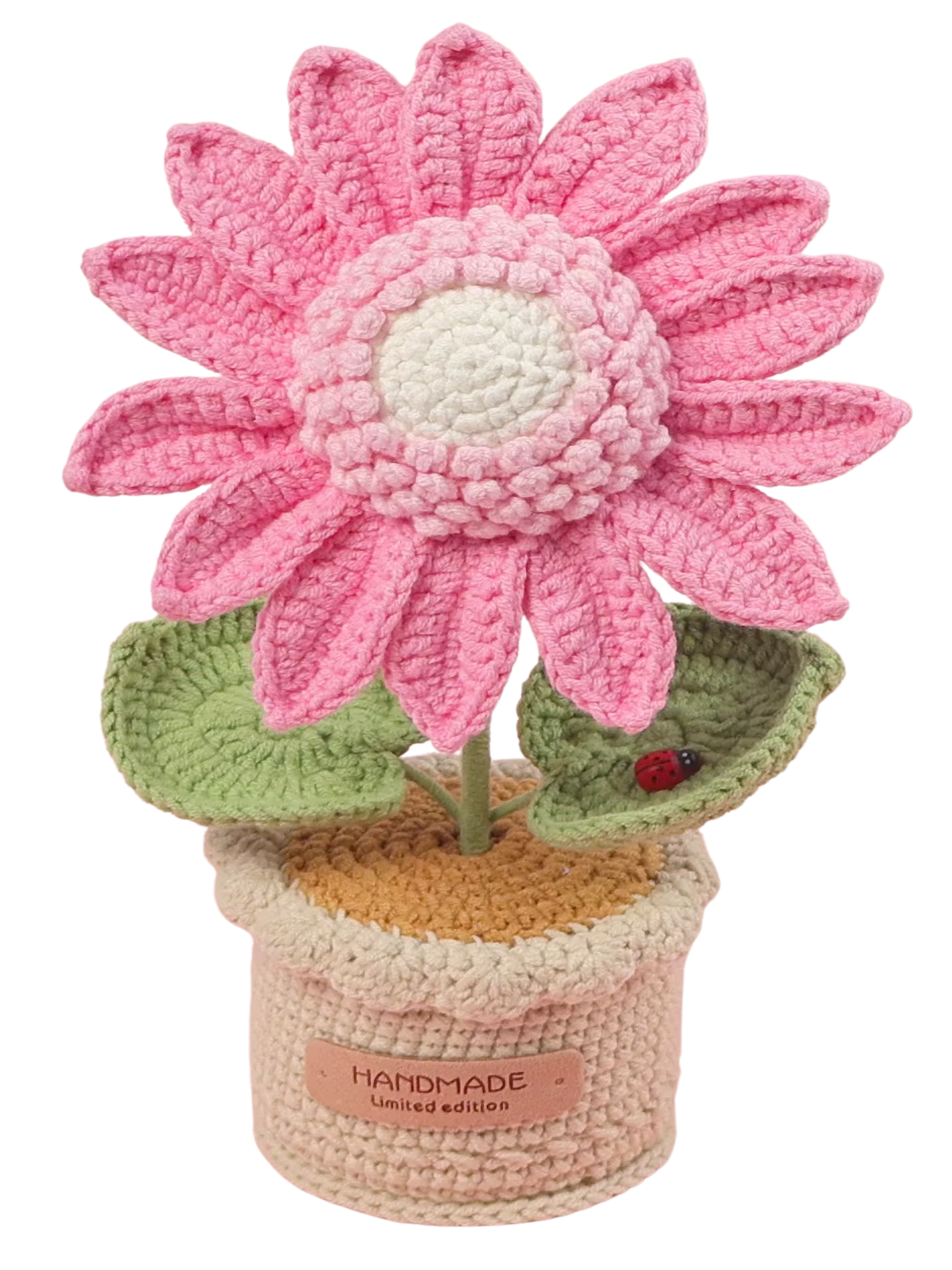 Sonnenblume