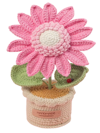 Sonnenblume
