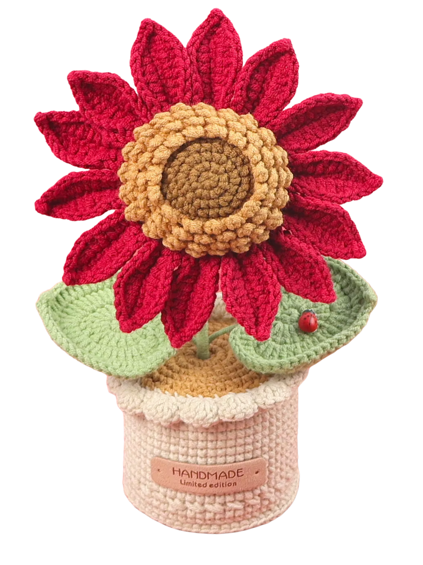 Sonnenblume