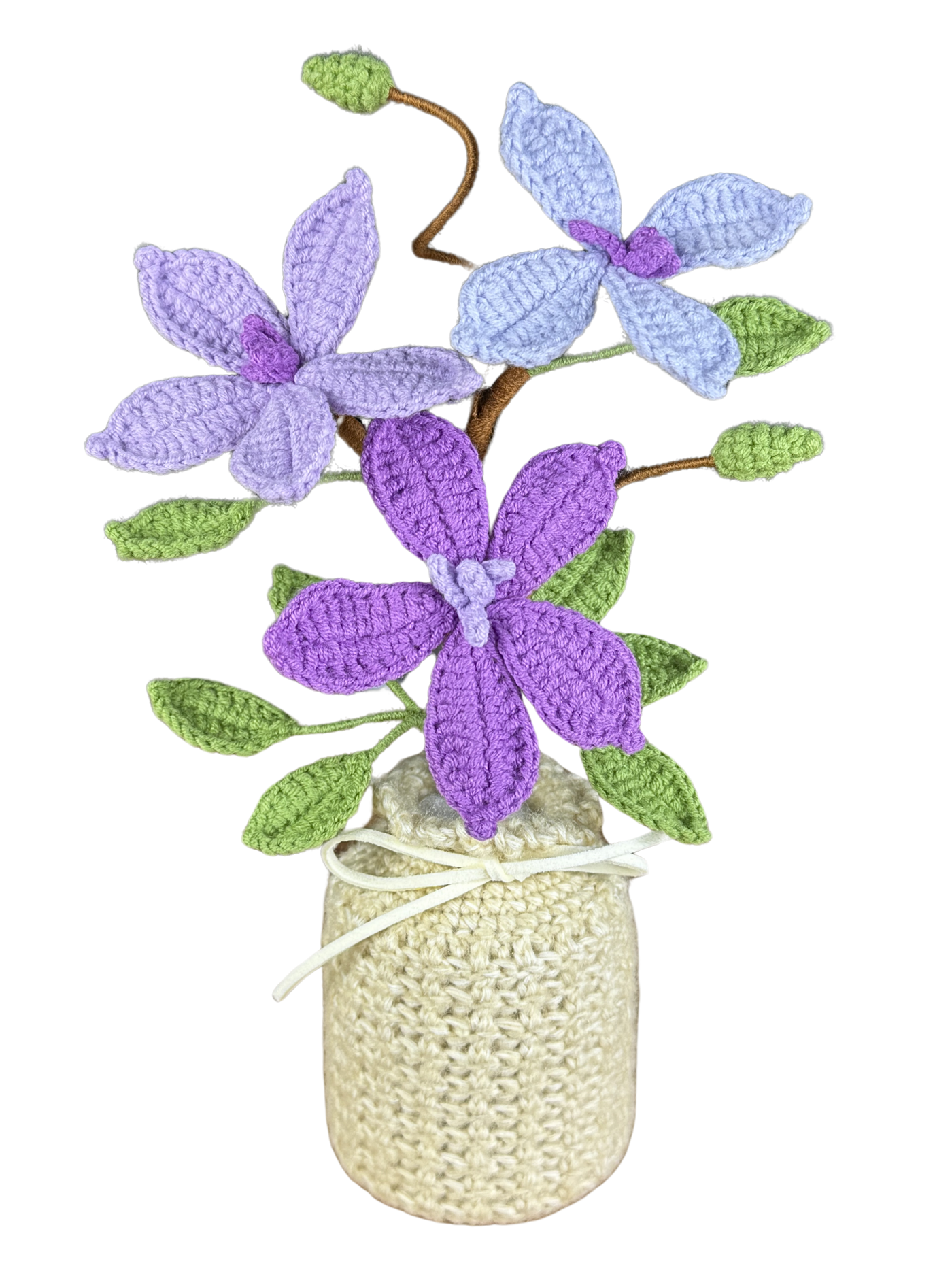 Sternblume