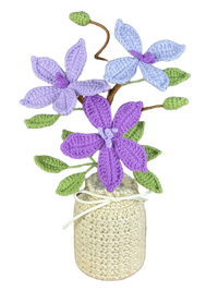 Sternblume