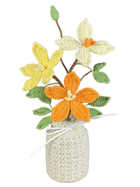 Sternblume