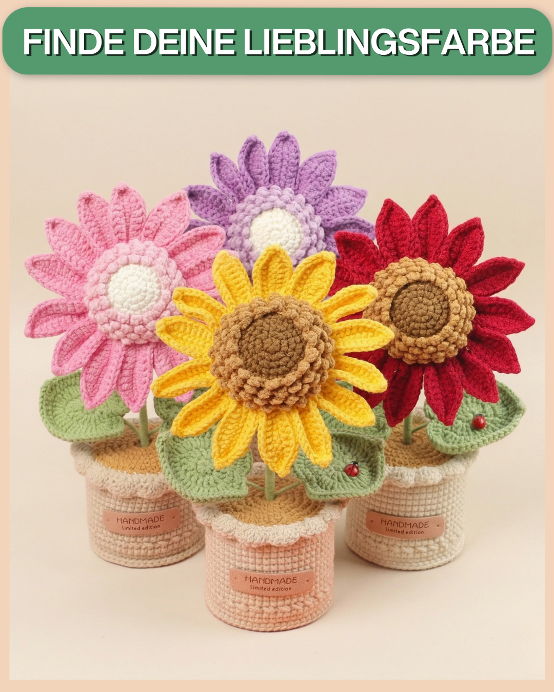 Sonnenblume