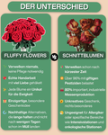 Sonnenblumen Magnet