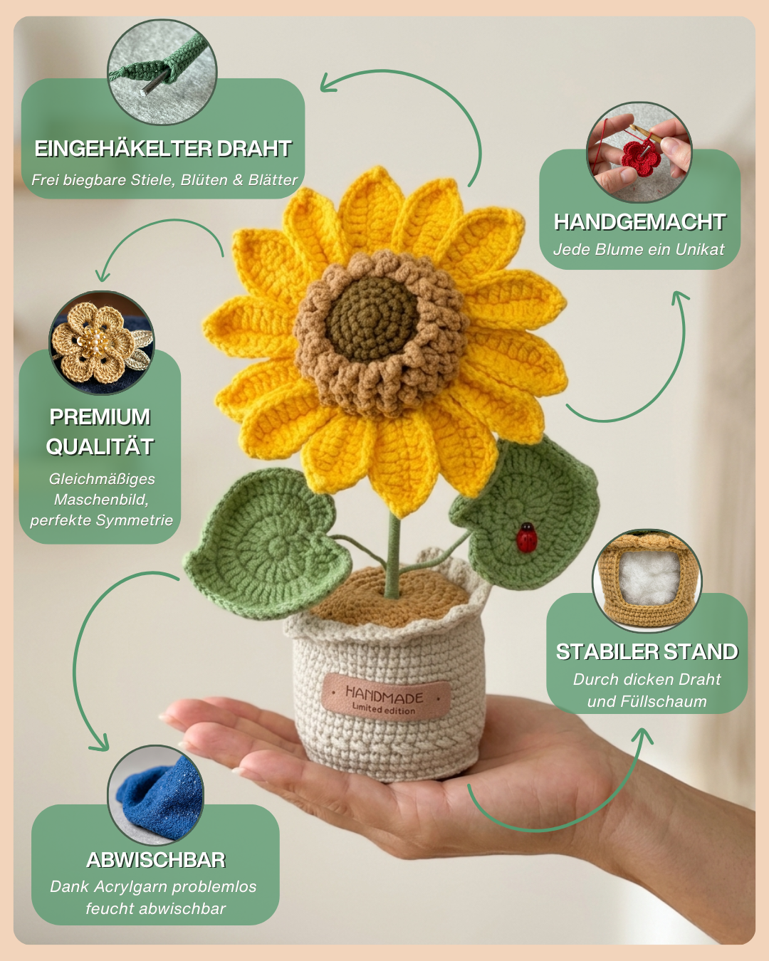 Sonnenblume