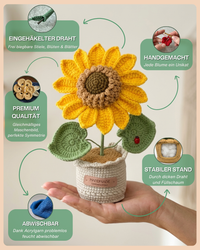 Sonnenblume