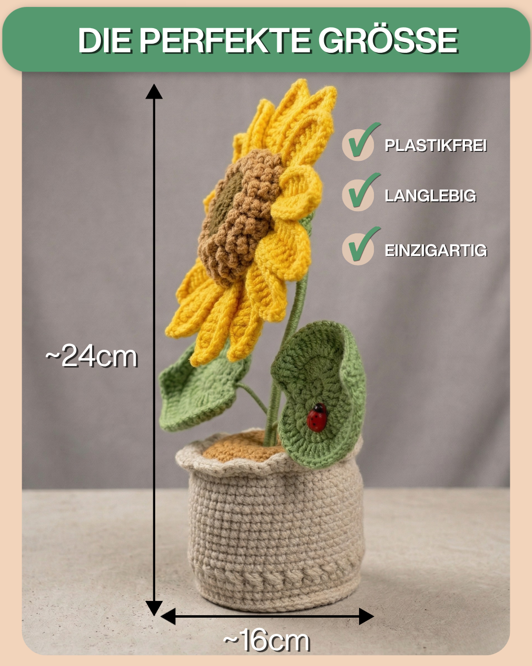 Sonnenblume