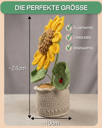 Sonnenblume