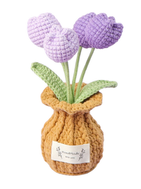 Tulpen Töpfchen