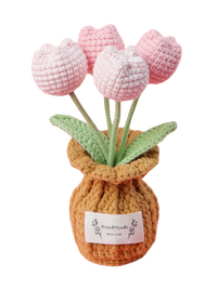 Tulpen Töpfchen