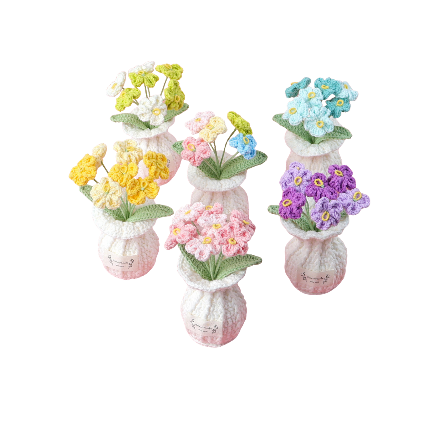 Vergissmeinnicht Töpfchen