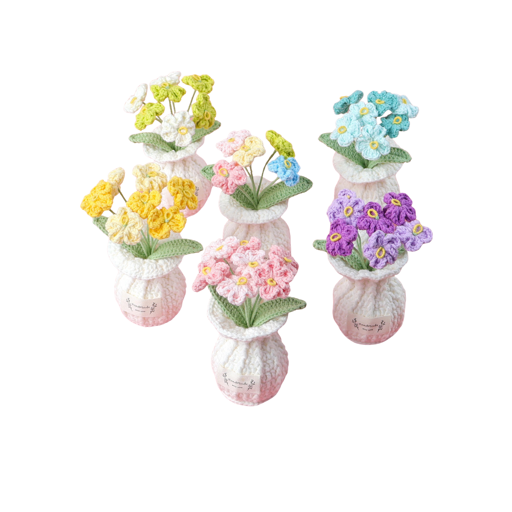 Vergissmeinnicht Töpfchen