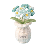 Vergissmeinnicht Töpfchen