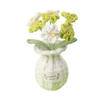 Vergissmeinnicht Töpfchen