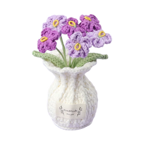 Vergissmeinnicht Töpfchen