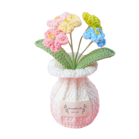 Vergissmeinnicht Töpfchen