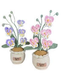 Orchideen
