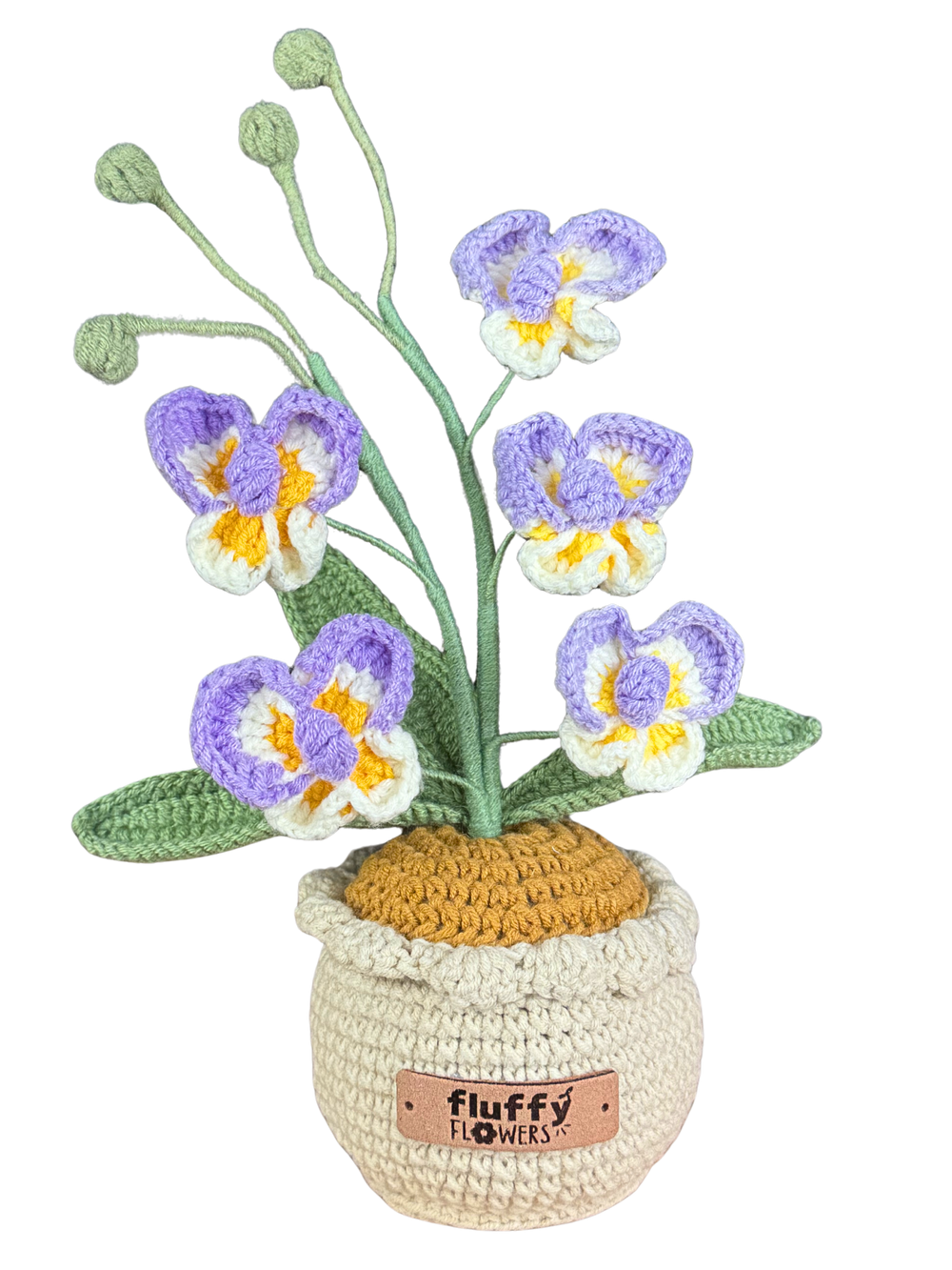 Orchideen