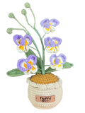 Orchideen