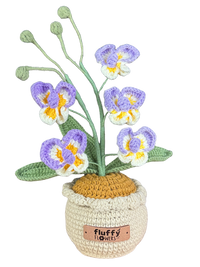 Orchideen