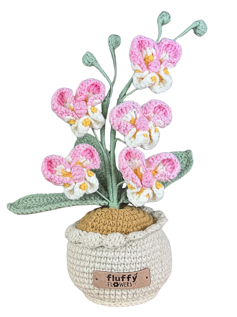 Orchideen