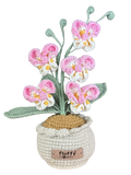Orchideen