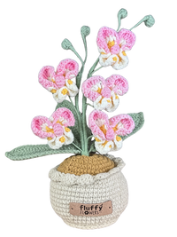 Orchideen